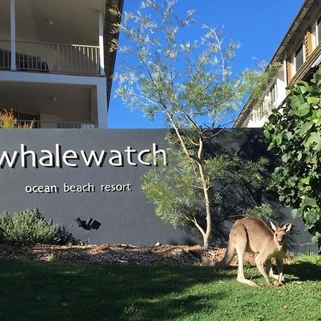 Whale Watch Ocean Beach Resort Point Lookout Exterior foto